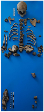 Caherconnell skeleton